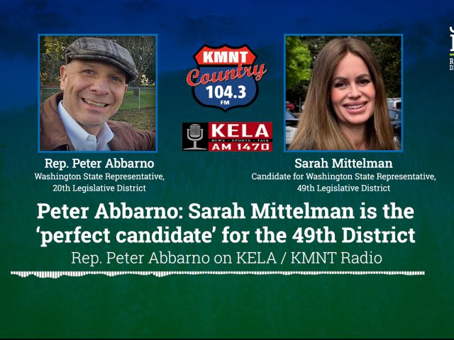 Peter Abbarno: Sarah Mittelman is the ‘perfect candidate’ for the 49th District